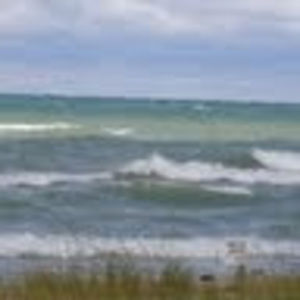 Meet your Posher, Martha